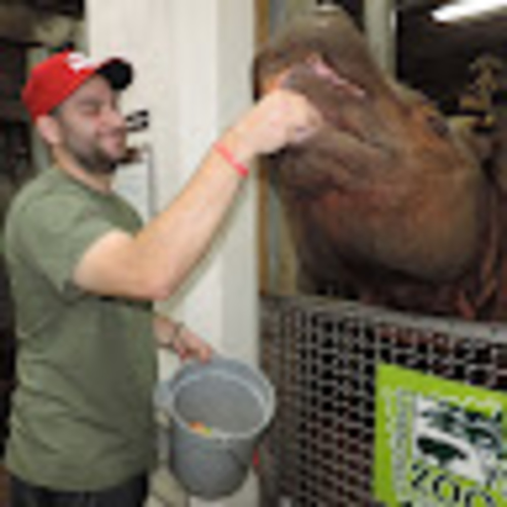 Meet your Posher, Nick